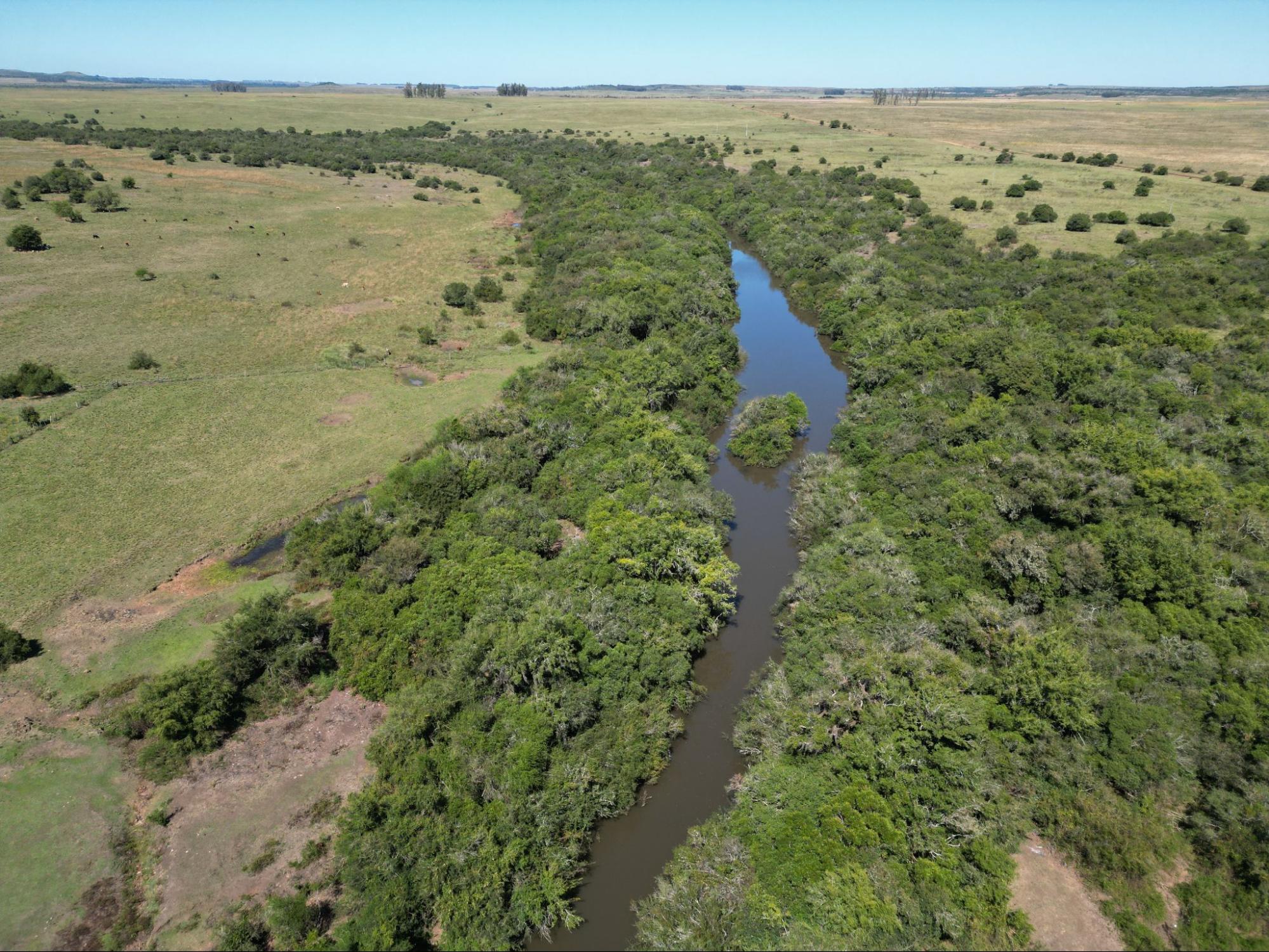 Foto Rio Ibirapuitã