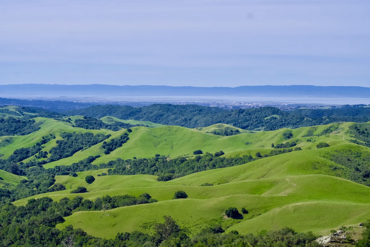 Quaraí